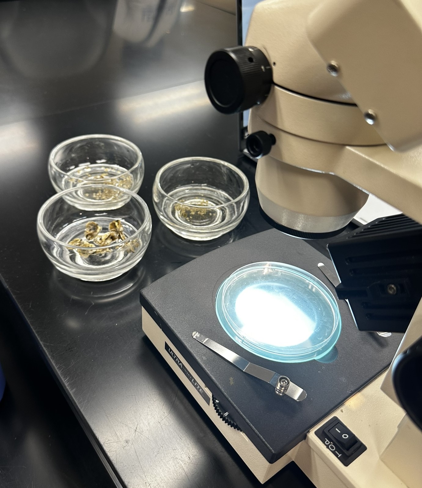 Promoting Careers in Aquaculture 2.0