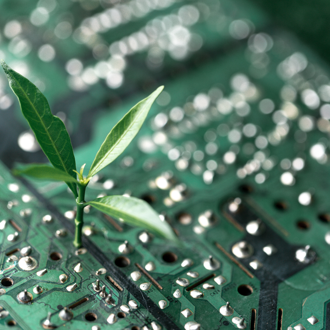 Economic Impact Analysis for RIVERE Ecological Center and Entrepreneurial Ecosystem