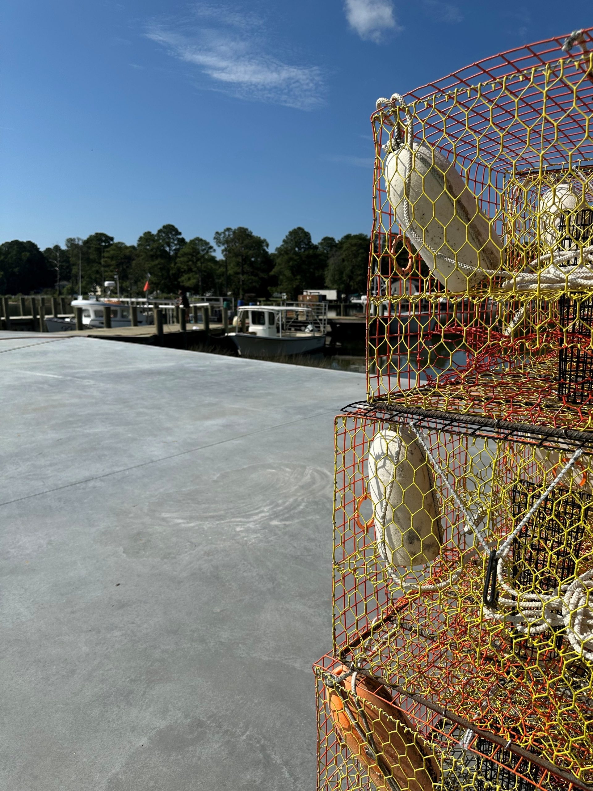 Virginia Tidewater Aquaculture & Maritime Innovation Incubator Program
