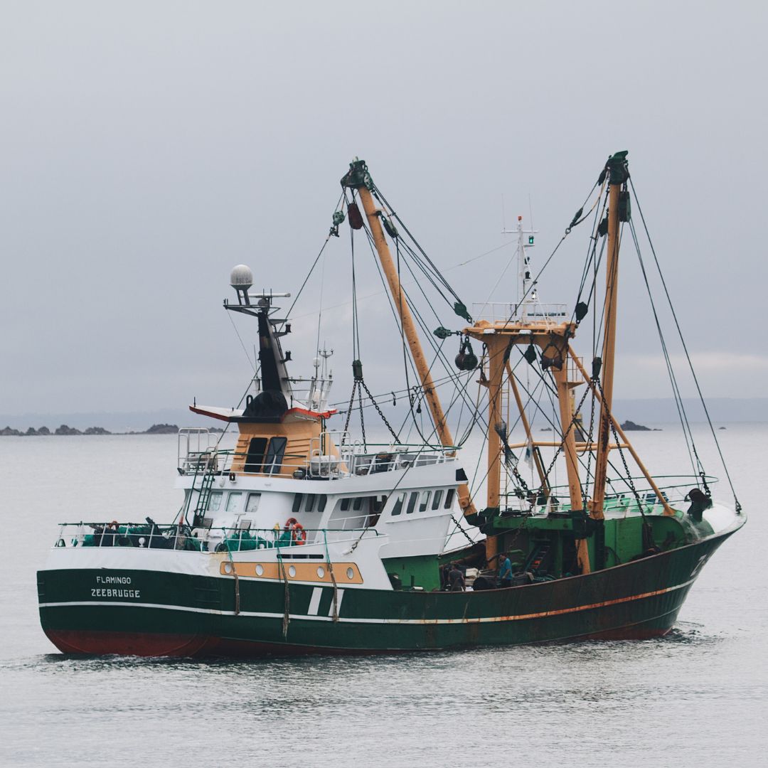 River to Table – Blue Catfish Processing and Marketing Study