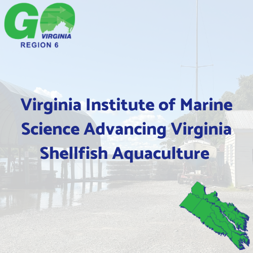 Virginia Institute of Marine Science Awarded $81,002 GO Virginia Planning Grant Funds for the Advancing Virginia Shellfish Aquaculture Project